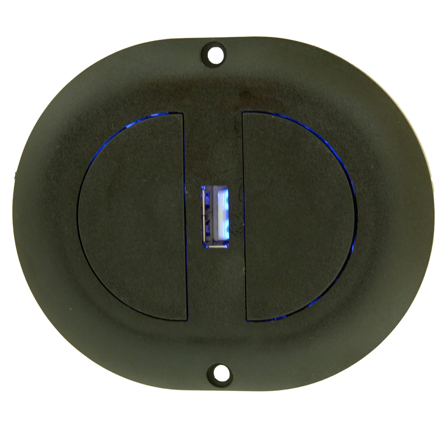Oval 2-Button Switch with 5-pin Male Plug and USB for Power Recliner & Lift Chair