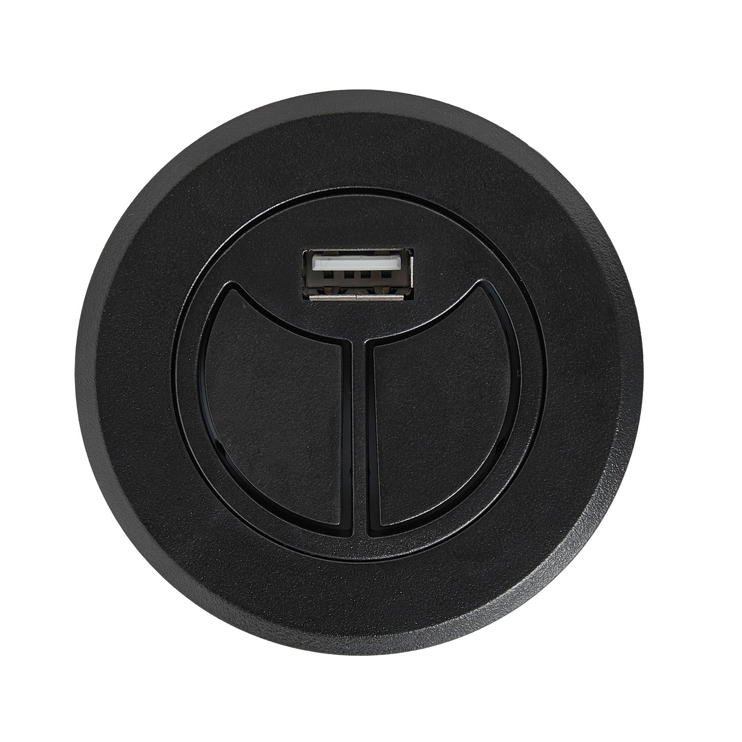 eMoMo RemoP10BLR 2 Button Fixed Switch with USB Charging Port