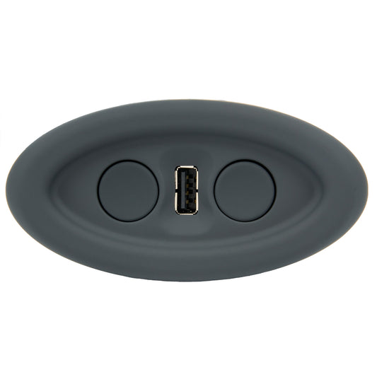 Raffel CTR UR1 01-BR 2-Button 5 Pin Switch for recliner with USB Oval Design and Matte Black.
