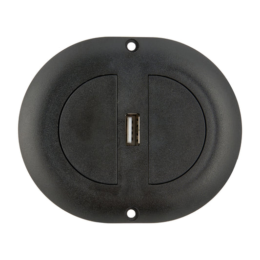 Oval 2-Button Switch with 5-pin Male Plug and USB for Power Recliner & Lift Chair