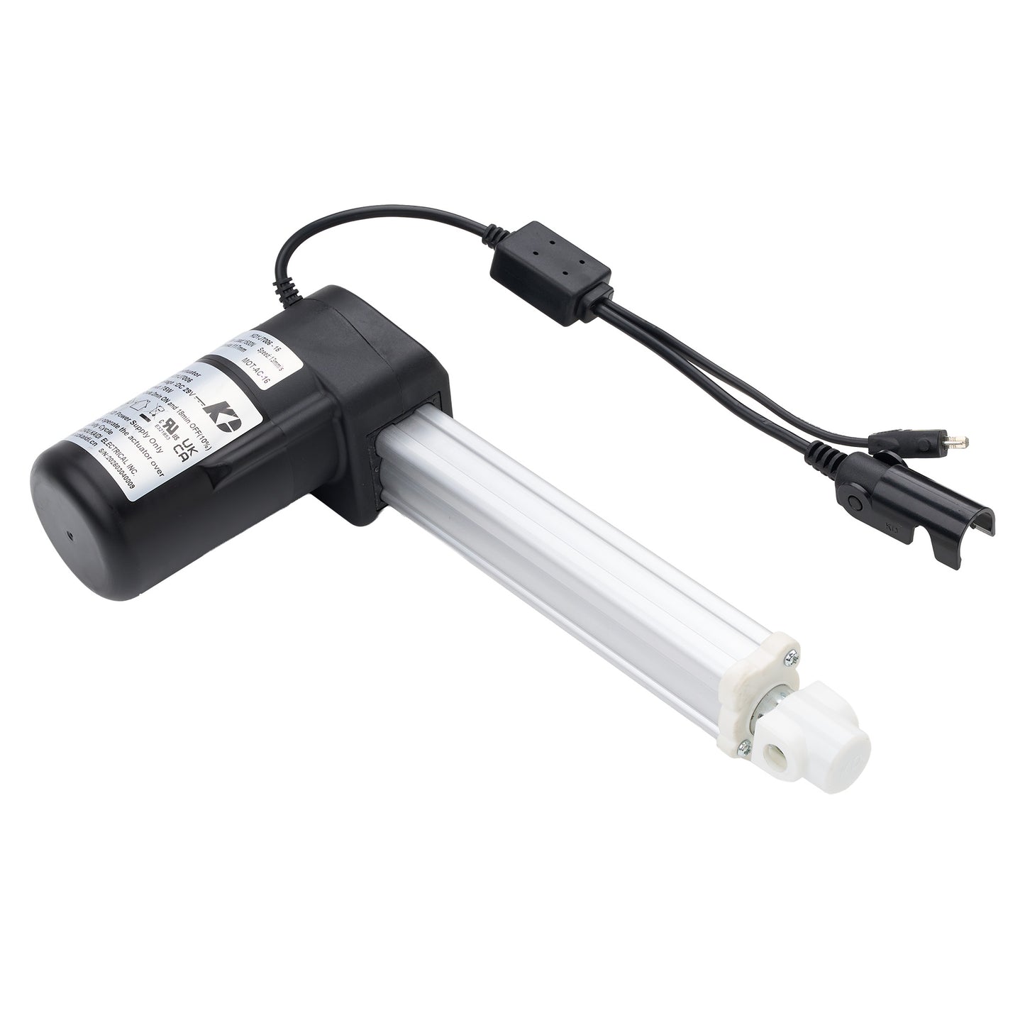 Light fixture with bulb and power cord on a white background
