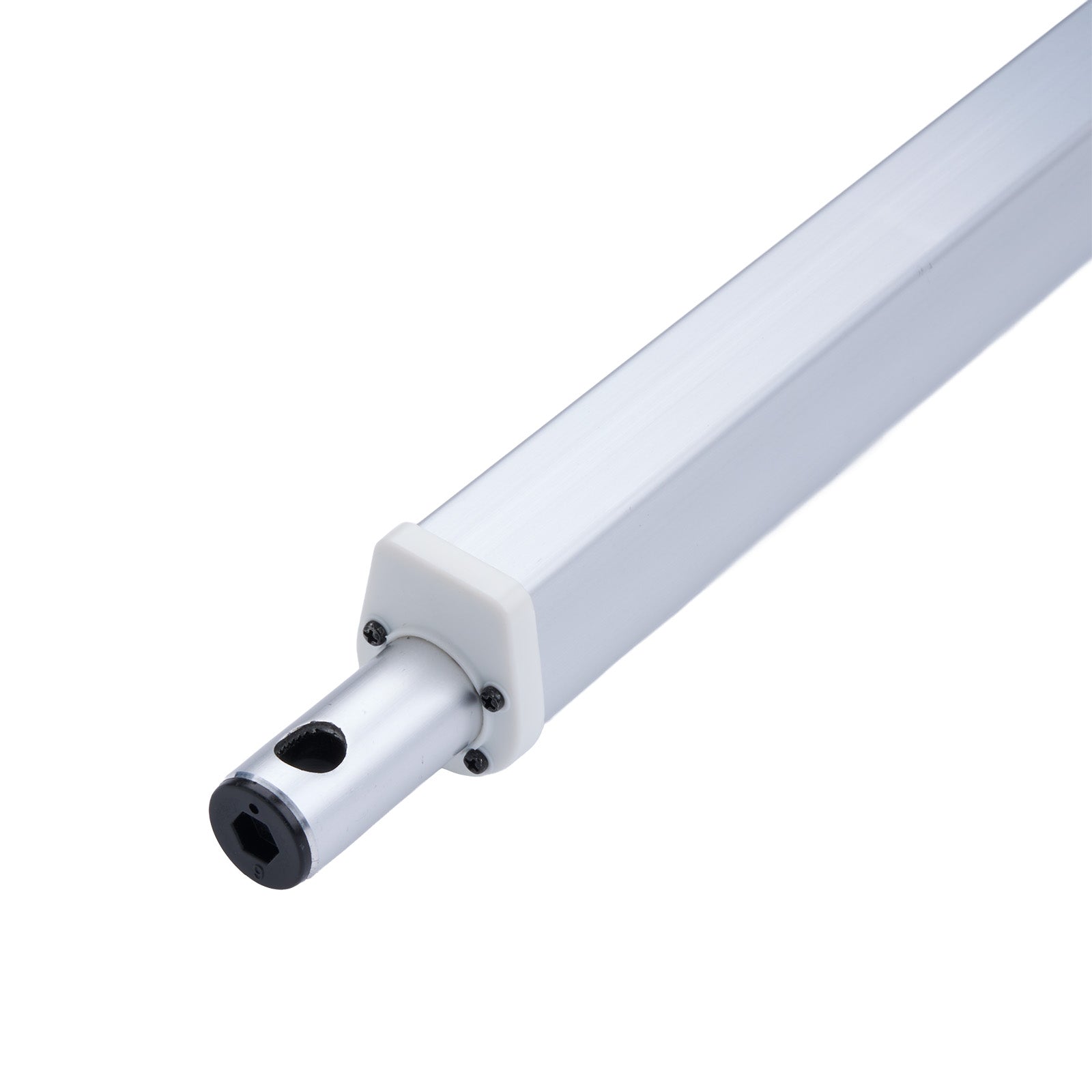 T8 LED tube light on a white background