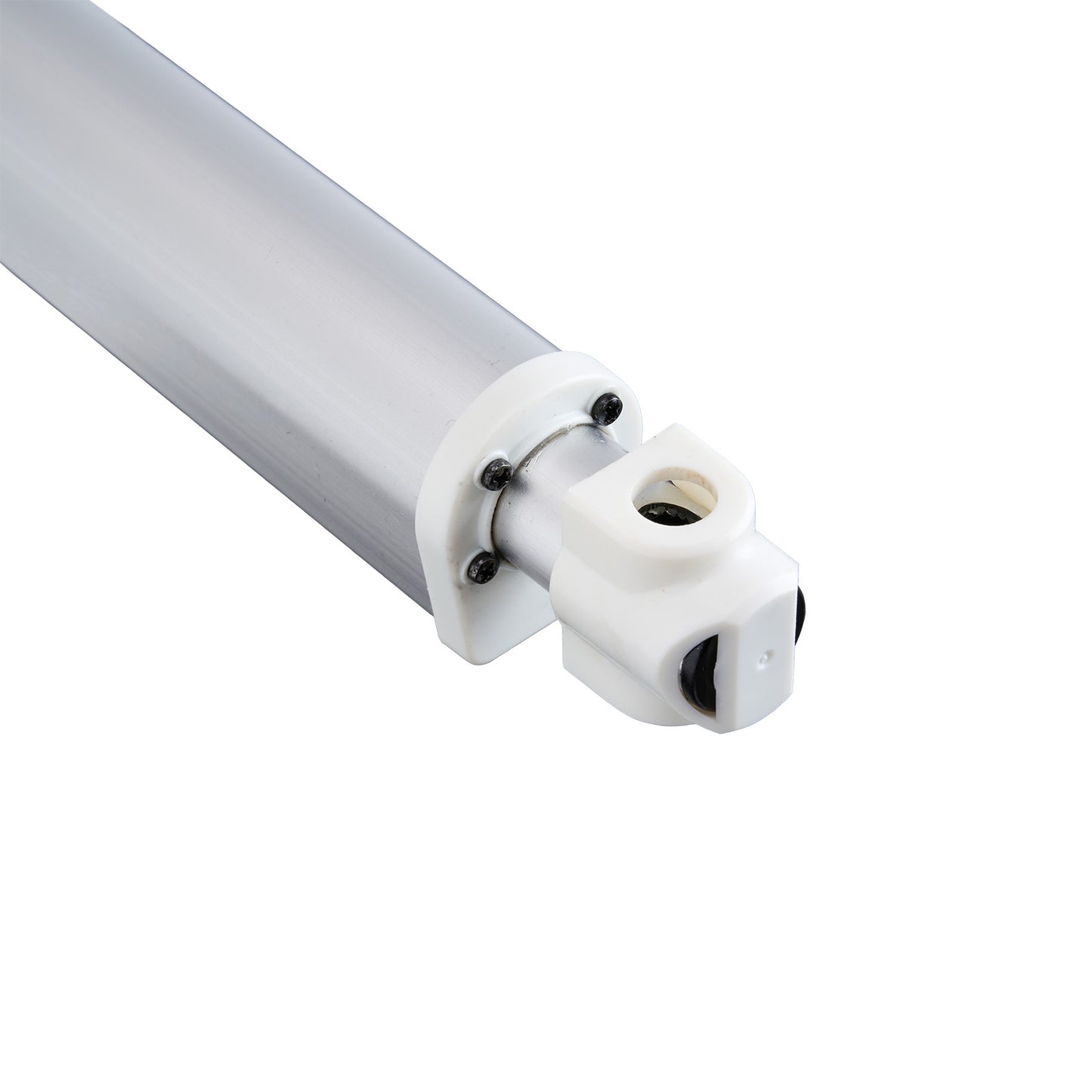 T8 LED tube light on a white background