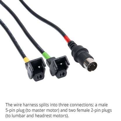 Wire harness with male 5-pin and two female 2-pin plugs on a white background.