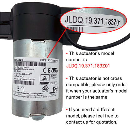 OKIN JLDQ.19.371.183Z01 Linear Actuator Motor Assembly